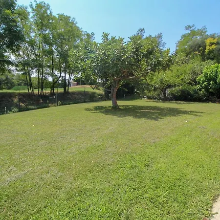 Garden *